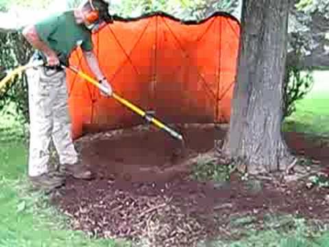 YouTube Thumbnail wEMrrL65YdE