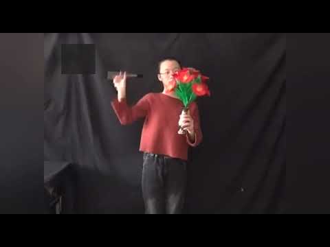 Deluxe Appearing Bouquet (Metal Vase) - Magic Trick