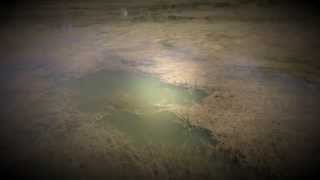 Where to Bass Fish in the Grass - Analyzing grass areas