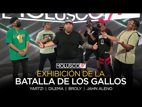 BATALLA DE LOS GALLOS EN PR🇵🇷 YARTZI y DILEMA vs BROLY y JHAN ALENO. JURADO “LINK ONE”