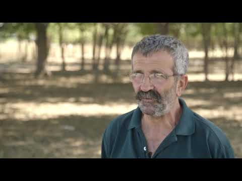 Ovcarska proizvodnja u Sanadu - U nasem ataru 808