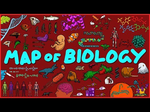 生物學地圖 (Map of Biology)
