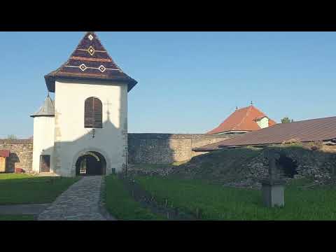 A fox and her baby at Solca monastery in Suceava county