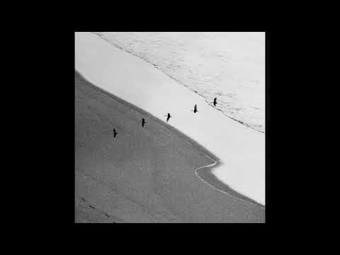 Francesco D'Andrea - Sur Le Manège