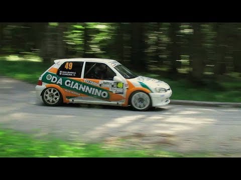 O. CONCINA  / E. GALLINARO   ITA   / PEUGEOT 106  A6 / 4° RALLY VALLI DELLA CARNIA 2017  (  HD  )
