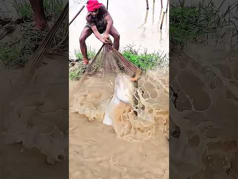 DILUAR NALAR FISHING and Lens'Art