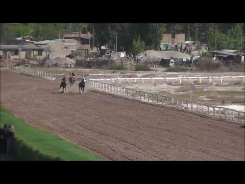 Cuarta Carrera Día 09 de Octubre 2022