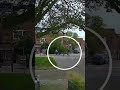 Almelose Ivonne wordt geschept door een auto: politie zoekt automobilist die doorreed | RTV Oost