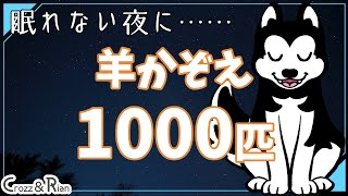 【眠れない時に】羊を1000匹数える動画【睡眠導入】