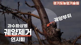 아이고 화상아! 과수화상병 궤양제거 연시회 현장!