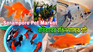 রবিবারের শ্রীরামপুরের হাট | Shrirampur Fish Market | Serampore Pet Market | Online Pet Food Stores
