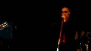 giuliano palma and the bluebeaters