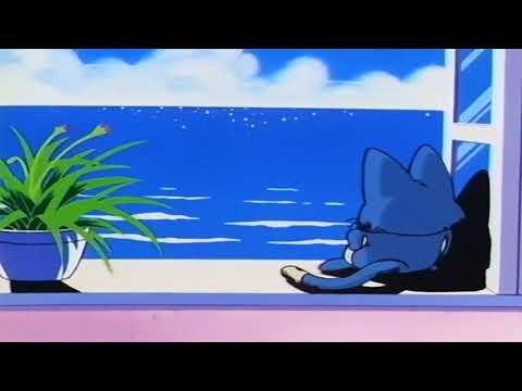 Jensen Ft Tc Woody - Min Kai La [slowed+reverb]#slowedandreverb #mizohlathar #2025