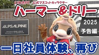 アルプスアルパイン × いわきFC 『ハーマー＆ドリー １日社員体験 ２０２５』｜予告　＜2025年6月公開予定＞