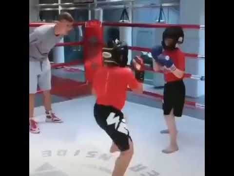 ~子甄彣璟~MMA 綜合格鬥 拳擊服 搏擊服 拳擊褲 泰拳褲 踢拳褲 散打褲 格鬥褲 搏擊褲 短褲 運動褲 武術褲 訓練褲