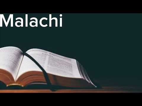 English Audio Bible - Malachi (COMPLETE) - New International Version (NIVUK)