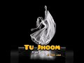 Tu Jhoom Slow + reverb | Naseebo Lal & Abida Parveen