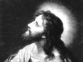 Cor Iesu salva nos