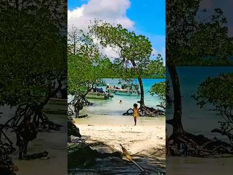 #travel #andaman #hewlock #new #popular #trending #viral #subscribe #ytshorts