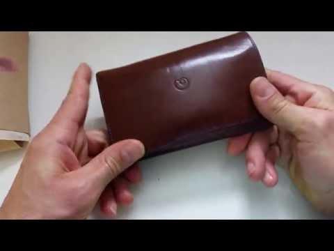 iPhone 6 Leather Wallet Case Review By Danny P Style