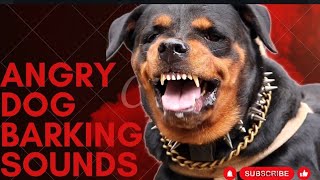 Epic Dog Barking Compilation: See How Your Dogs REACTS and Can't Resist!