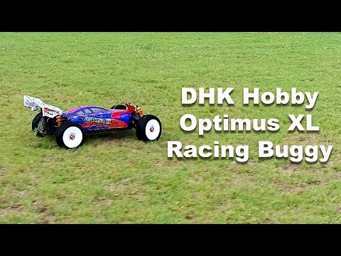 Fast Twin Battery RC Racing Buggy