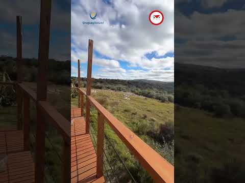 Video de YouTube - Chacra en Venta de 3 dormitorios con Jardín y Patio en Aigua, Maldonado