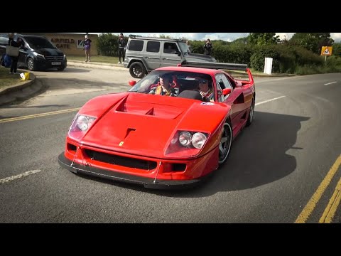 ROAD LEGAL Ferrari F40 LM Crazy Sounds and Accelerations!