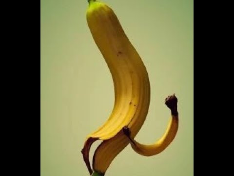 pps the coup corps crew