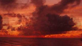 The Field - Leave it