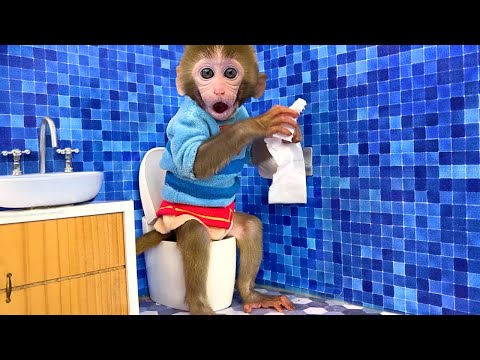 Monkey Baby Bon Bon in the Room Cleaning Challengeand goes to the toilet