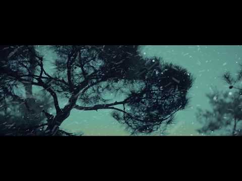 youtube:wEVqcxd22MM