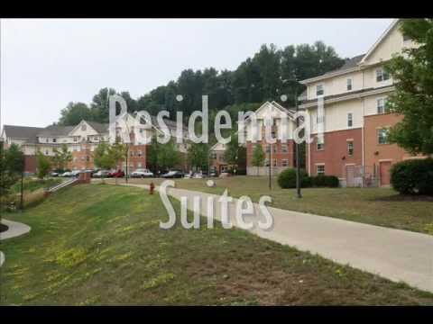 Slippery Rock Craigslist Affable Help