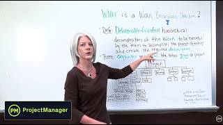 Project Management: What is a Work Breakdown Structure