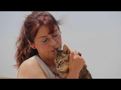 İlkay Akkaya - Gelme
