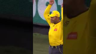 The Goal Umpire…