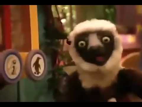 Zoboomafoo Le Da De Comer Al Emu