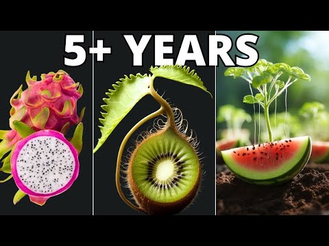2091 Days in Just 30 Minutes - Growing Plant Time Lapse COMPILATION