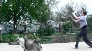 One Step Closer -Shane Harper (music video)