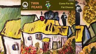 Twin Peaks - "Come For Me" [Official Audio]
