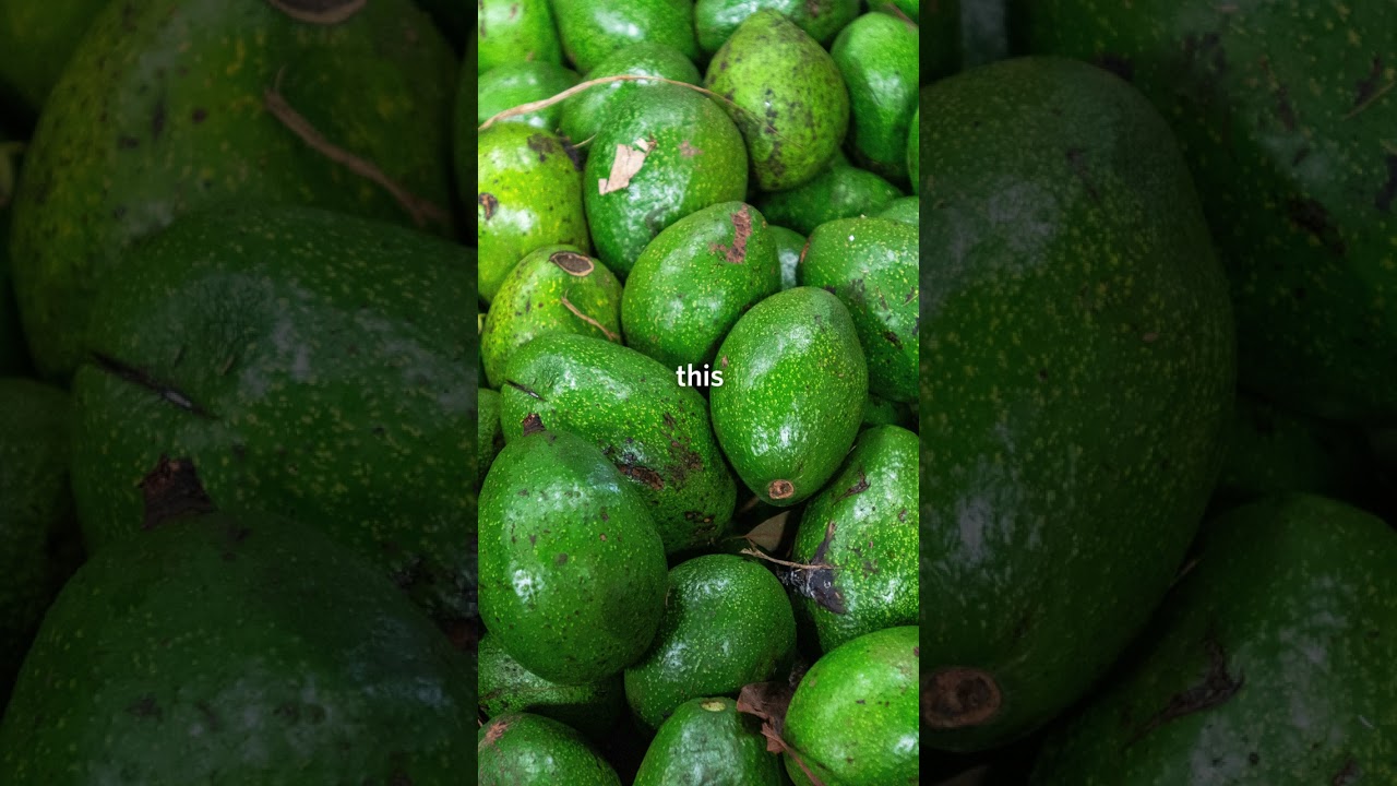 🥑 Avocado oil