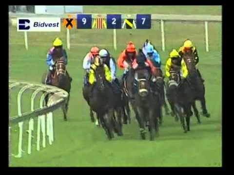 Super Glue - 1st win - Racing Association
