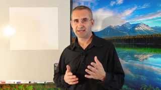 WHAT IF WE DARE ? Fabien FERT