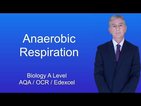 A Level Biology Revision "Anaerobic Respiration"