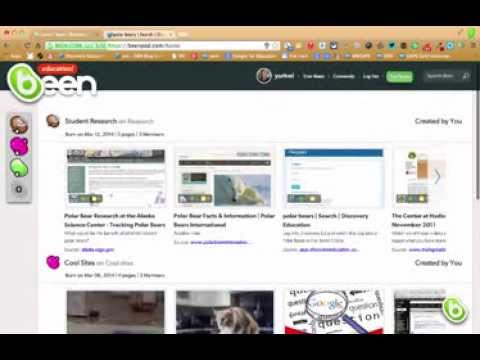 Product User Review 1