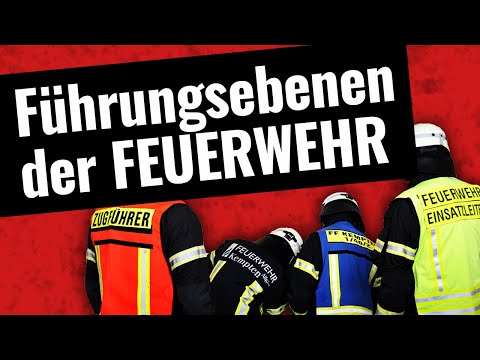 Do you know the COMMAND LEVELS? 🚒 (Fire Department, FwDV 100, Incident Commander, Section Leader,...