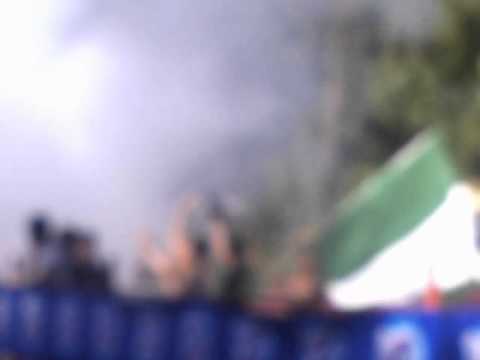 Wild Boys Trešnjevka