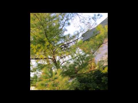 04. save me - shill (ft. seng°)