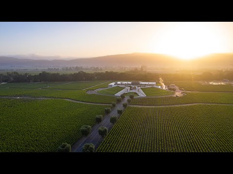 Opus One Winery