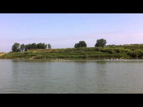 4+ Canottieri Lazio in action